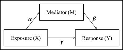 An Information-Based Approach for Mediation Analysis on High-Dimensional Metagenomic Data